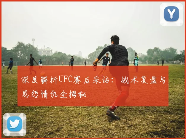 深度解析UFC赛后采访：战术复盘与恩怨情仇全揭秘