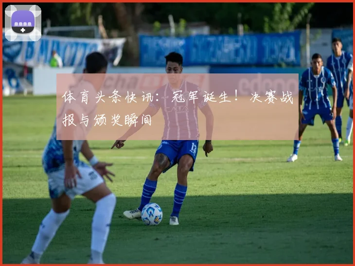 体育头条快讯：冠军诞生！决赛战报与颁奖瞬间