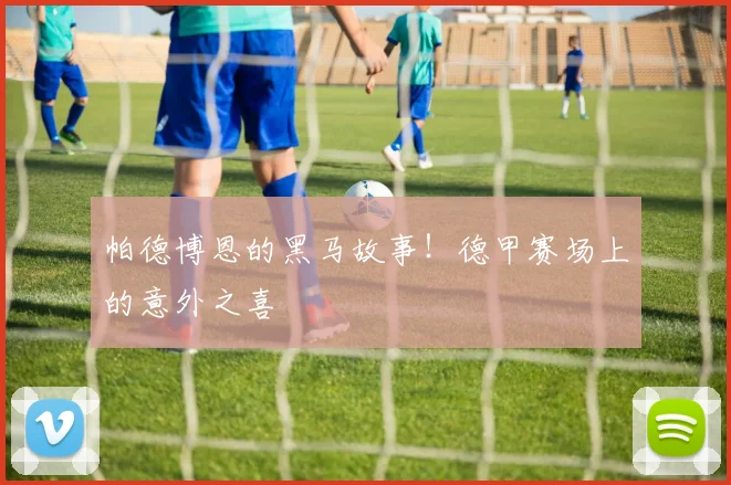 帕德博恩的黑马故事!德甲赛场上的意外之喜
