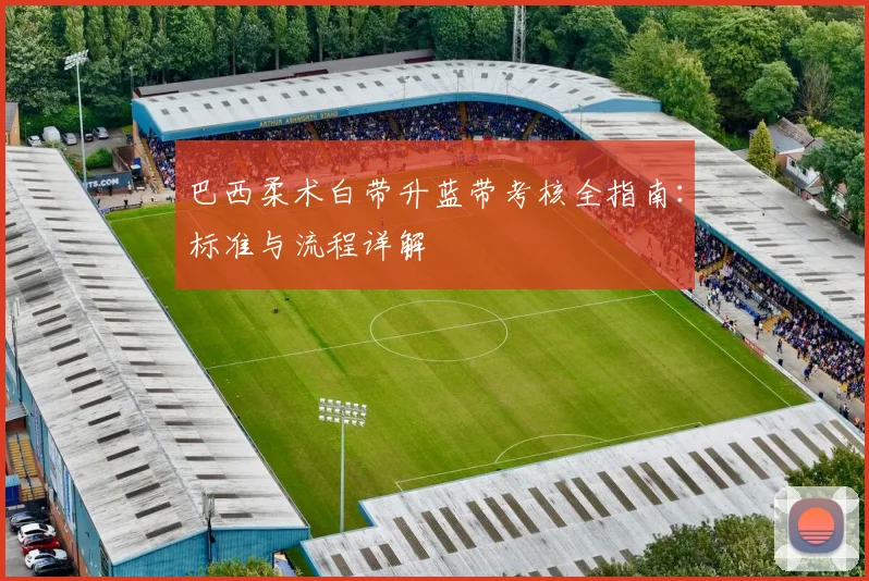 巴西柔术白带升蓝带考核全指南：标准与流程详解
