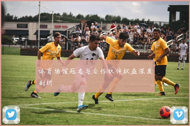 体育场馆冠名与合作伙伴权益深度剖析