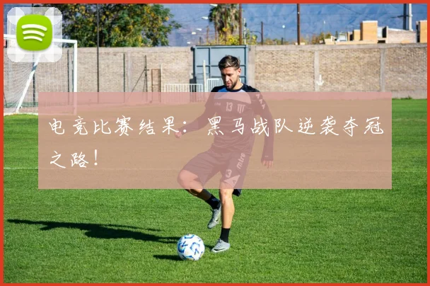 电竞比赛结果：黑马战队逆袭夺冠之路！