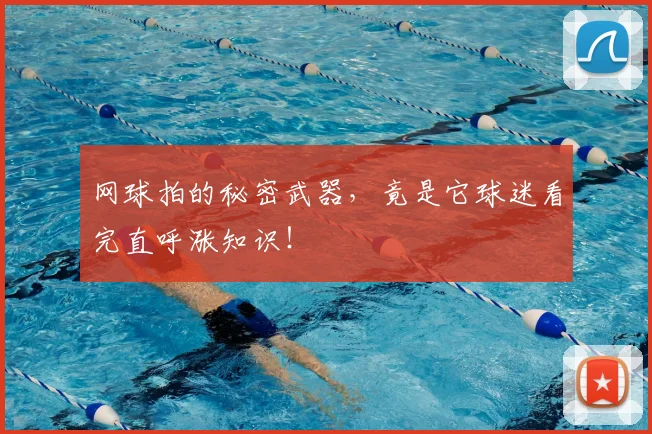 网球拍的秘密武器,竟是它球迷看完直呼涨知识!