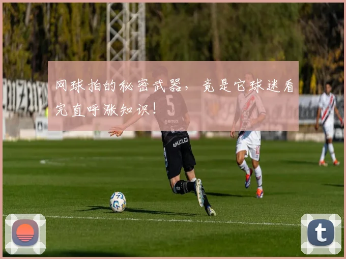 网球拍的秘密武器，竟是它球迷看完直呼涨知识！