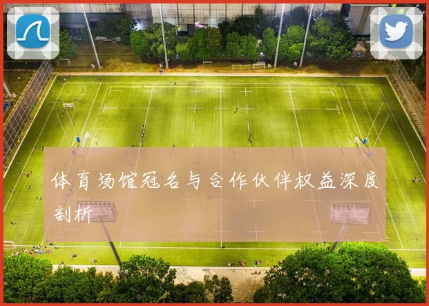 体育场馆冠名与合作伙伴权益深度剖析